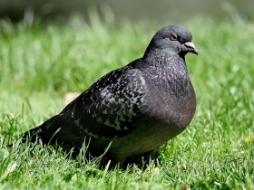 صور منوعة من الإنترنت