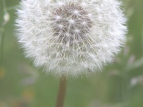 صور منوعة من الإنترنت