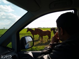 صور