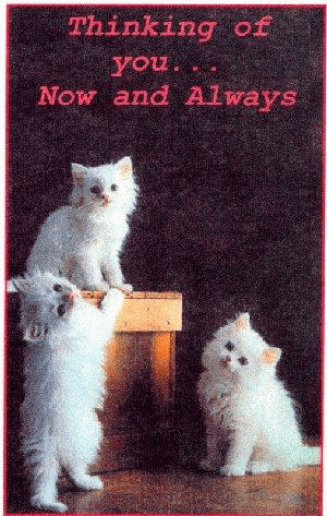 بطاقات رومانسية