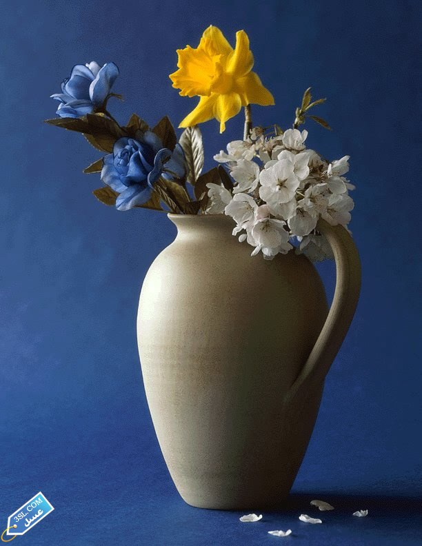 flower368_3SL-com_2_