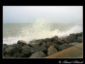 صور من ابداع اعضاء عمان فوتو