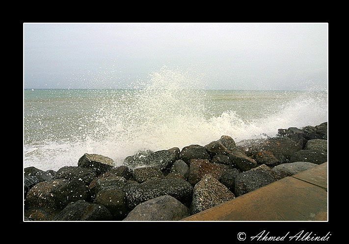 صور من ابداع اعضاء عمان فوتو