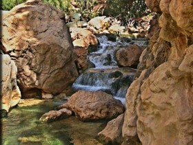 صور من ابداع اعضاء عمان فوتو