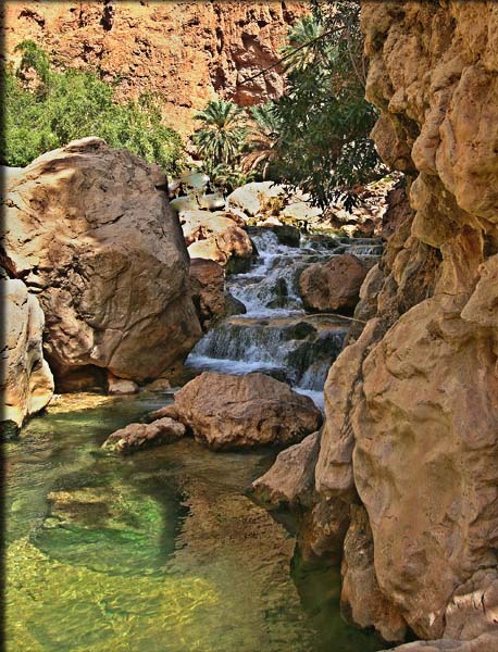 صور من ابداع اعضاء عمان فوتو