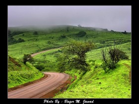 صور من ابداع اعضاء عمان فوتو