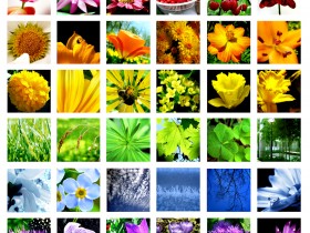 Nature_s_Kaleidoscope_by_Caramel_Chokecherry
