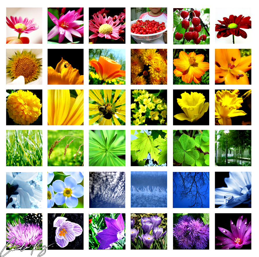 Nature_s_Kaleidoscope_by_Caramel_Chokecherry