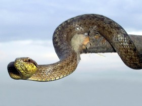 1589175-208c5955863976ef_1_