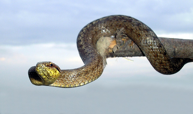 1589175-208c5955863976ef_1_