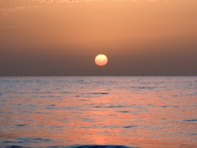 صور من ابداع اعضاء عمان فوتو