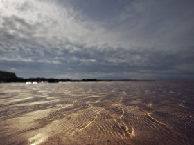 صور منوعة من الإنترنت
