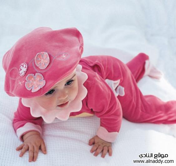 278717-4-or-1328148562