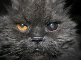 19565405891165552644_1_