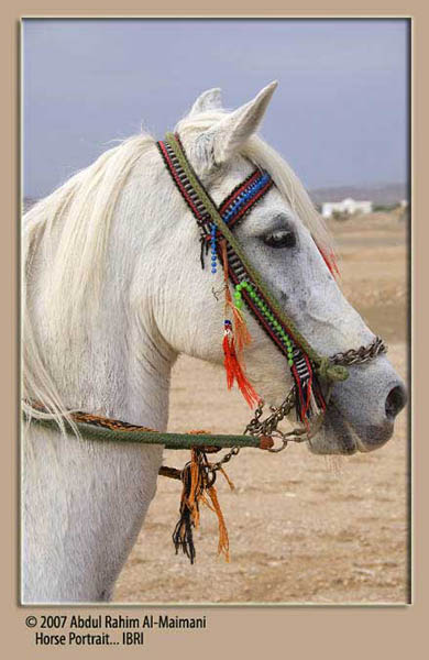 صور من ابداع اعضاء عمان فوتو
