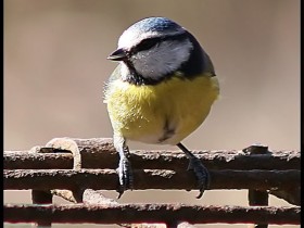 صور منوعة من الإنترنت