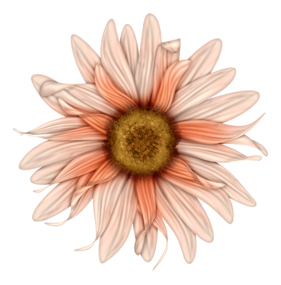 BVS_mypeachlove_flower04
