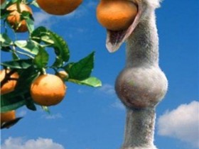 2 34