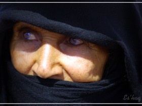 صور من ابداع اعضاء عمان فوتو