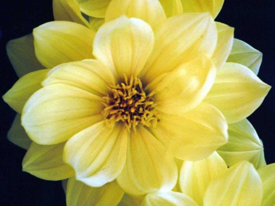 PTBL0047