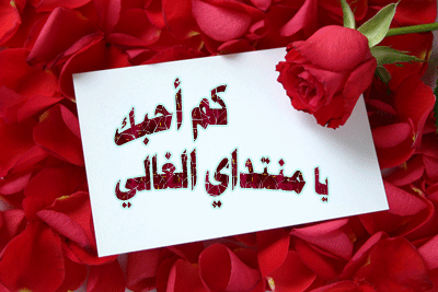 ساحتي الغالية