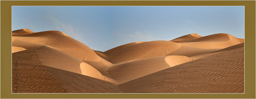 صور من ابداع اعضاء عمان فوتو