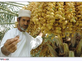 صور من ابداع اعضاء عمان فوتو