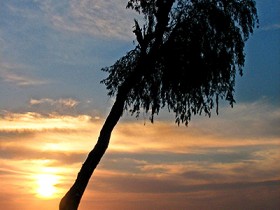 صور من ابداع اعضاء عمان فوتو
