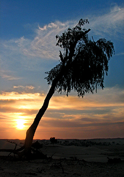 صور من ابداع اعضاء عمان فوتو