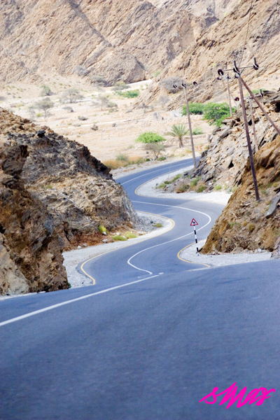 صور من ابداع اعضاء عمان فوتو