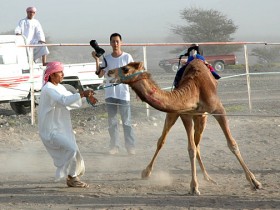 صور من ابداع اعضاء عمان فوتو