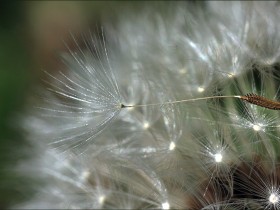 صور منوعة من الإنترنت
