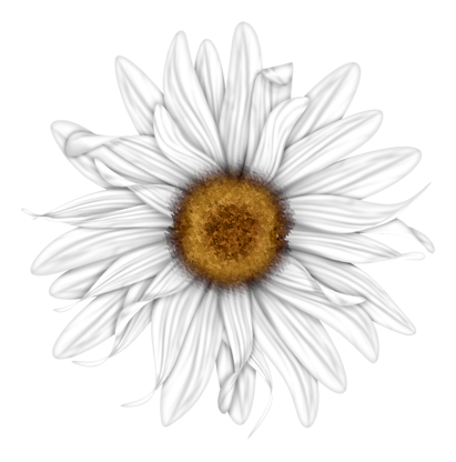 BVS_pink_valentine_bt_flower06