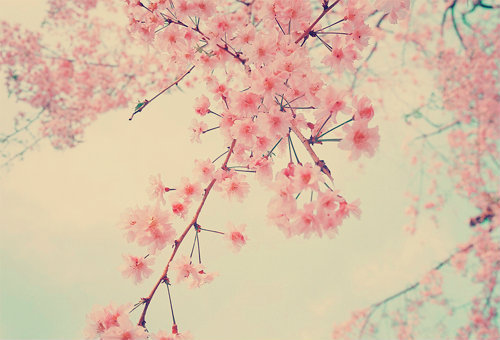 tumblr_lv762jlq0X1qexeifo1_5001