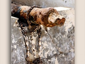 صور من ابداع اعضاء عمان فوتو