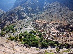 صور من ابداع اعضاء عمان فوتو