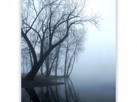 1516185-0db6ccebd0ca40ee_2_