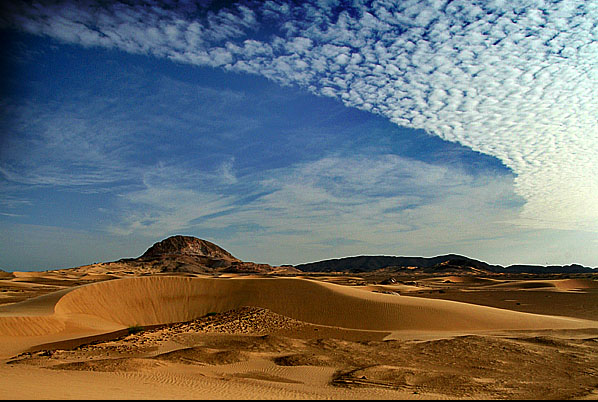 صور من ابداع اعضاء عمان فوتو