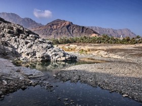 صور من ابداع اعضاء عمان فوتو