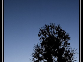 صور من ابداع اعضاء عمان فوتو