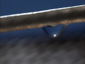 صور منوعة من الإنترنت