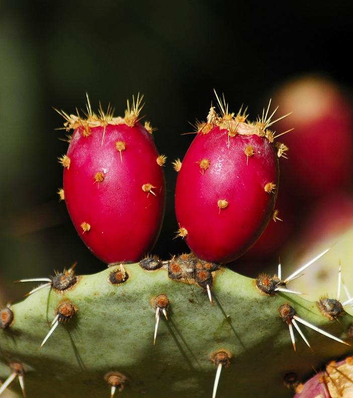 1576585-1bb1df5a05c700ff_1_