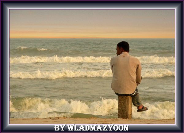 صور من ابداع اعضاء عمان فوتو
