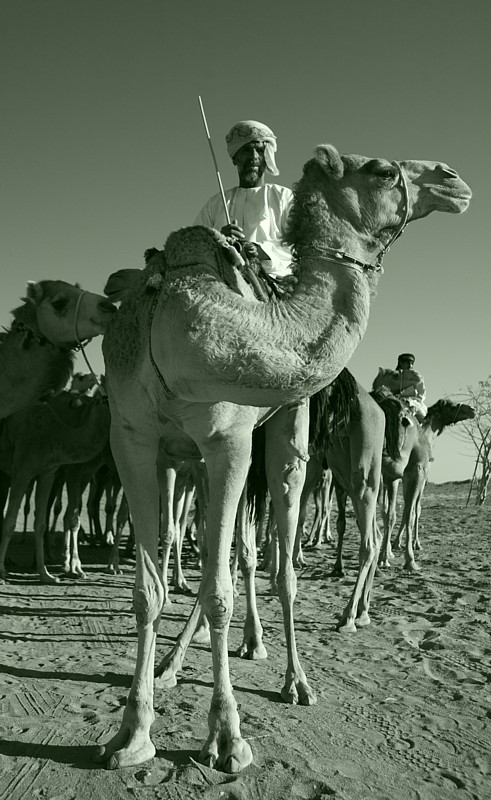 صور من ابداع اعضاء عمان فوتو