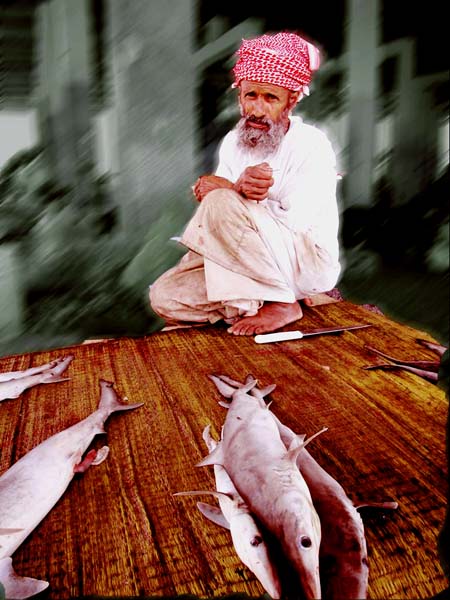 صور من ابداع اعضاء عمان فوتو
