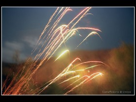 صور من ابداع اعضاء عمان فوتو