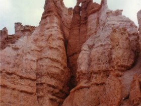 صور منوعة من الإنترنت