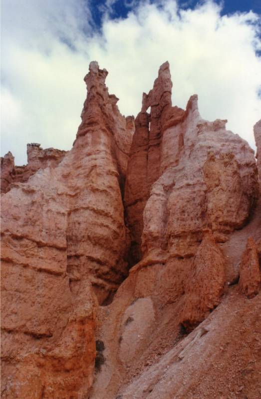 صور منوعة من الإنترنت