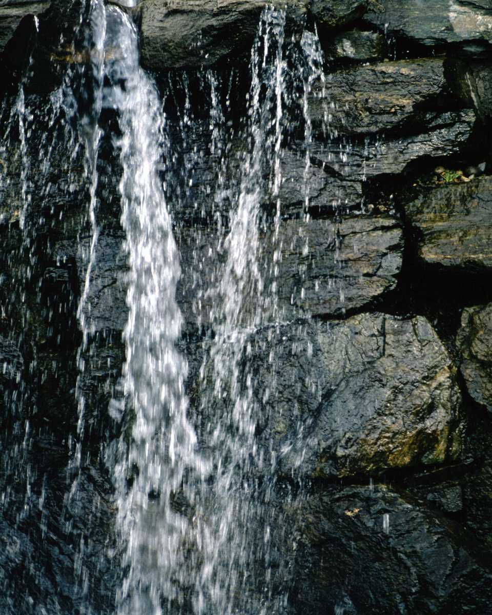 SCWT0094