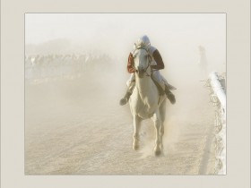 صور من ابداع اعضاء عمان فوتو